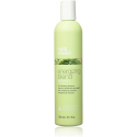 Milk Shake Energizing Blend Shampoo 300ml